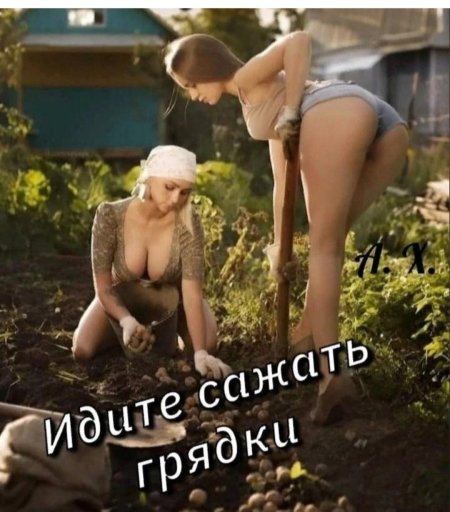 Голые женщины на огороде