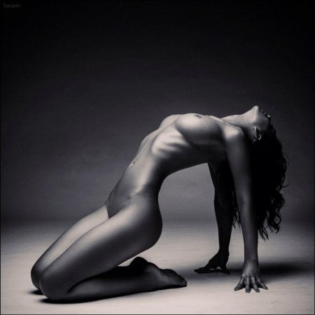 Женское тело эротика