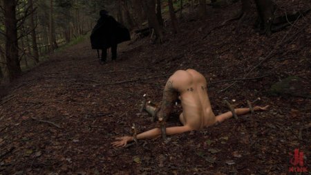 Связанные голые девки в лесу