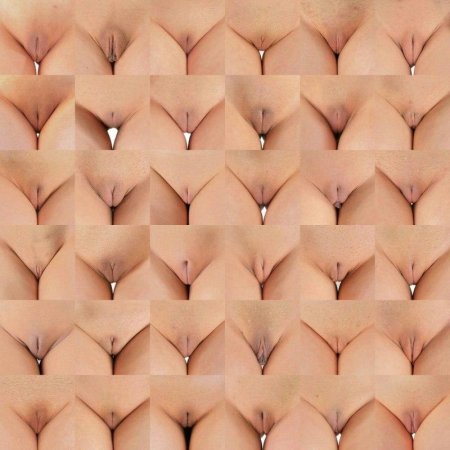 Женская писька виды