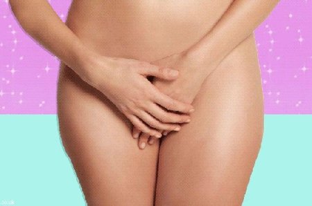 Красота женских половых органов