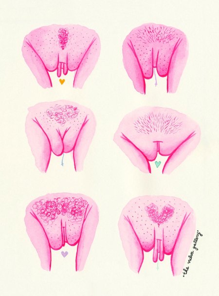 Стилизованные изображения вагины