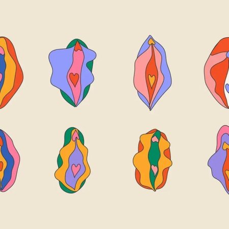 Рисунки вагины