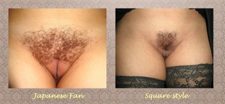 Женские эротические стрижки