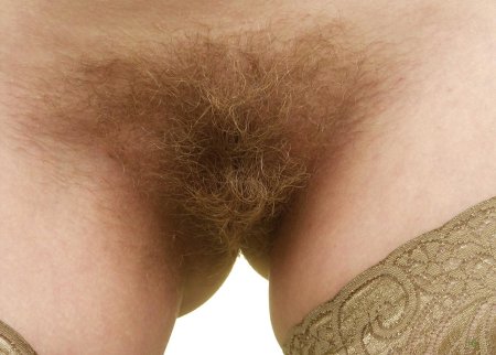 Красивый волосатый лобок