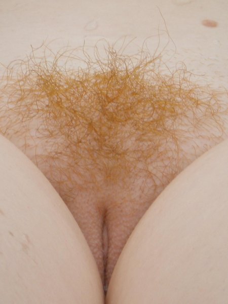 Лобковые волосы