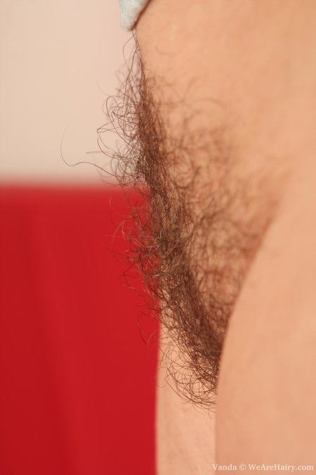 Длинные лобковые волосы