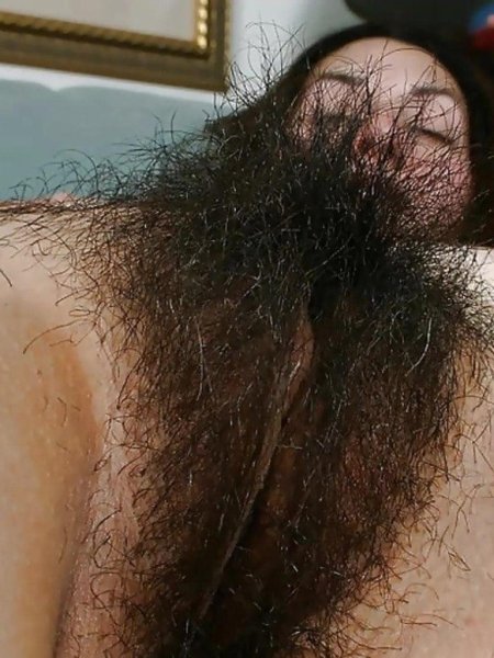 Самые длинные волосы на лобке