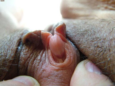 Клитор эротика