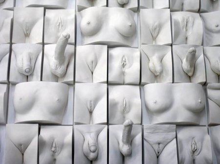 Слепки вагин джейми маккартни