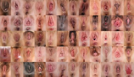 Лицо и вагина фотоколлаж