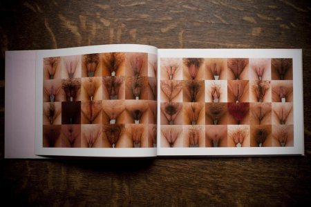 Лица и вагины