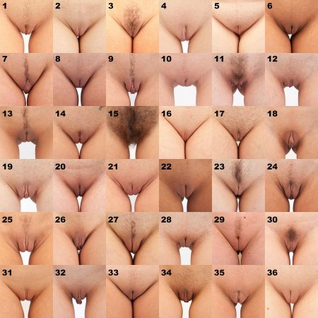 Вид женских писек