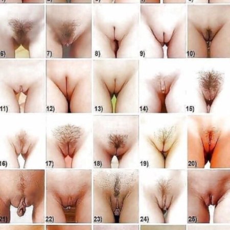 Виды писек женские