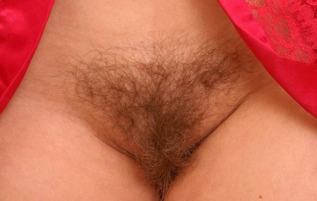 Волосатая киска