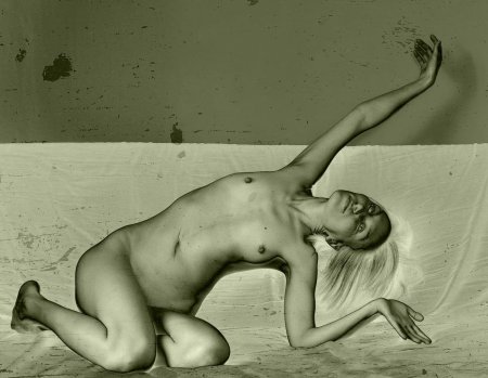 Обнаженная натура