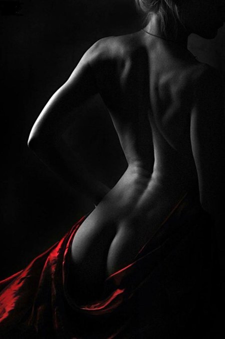 Красивые изгибы женского тела