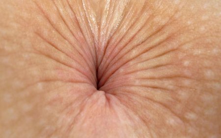 Анус женщин