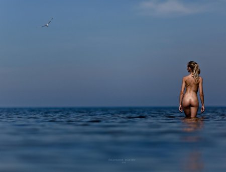 Море эротика