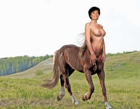 Эротичная девушка кентавр