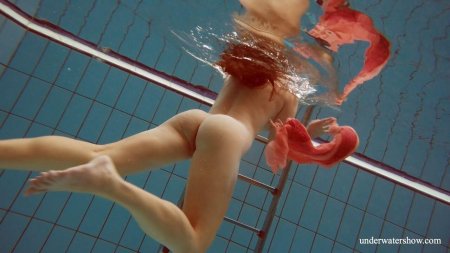 Плавает в бассейне