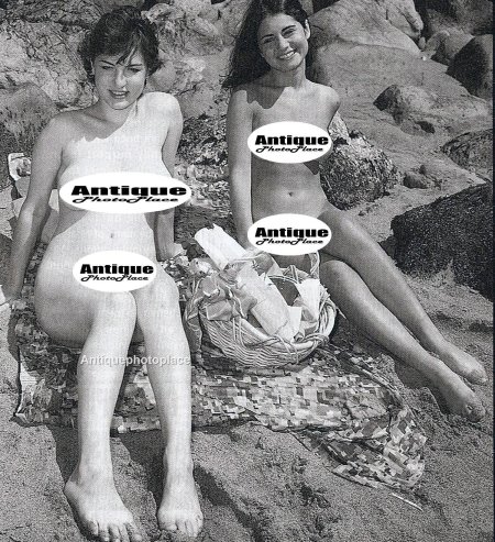 Бриджит бардо