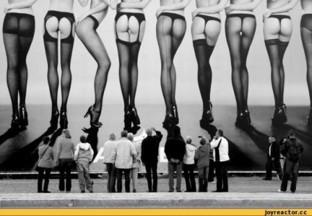 Много женских ног