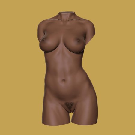 Женский торс