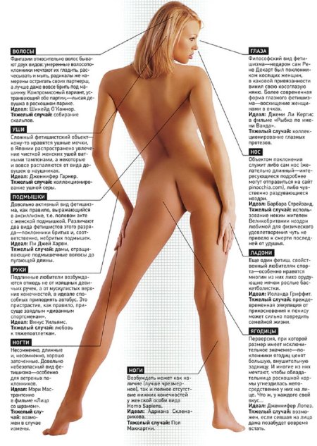 Женское тело анатомия