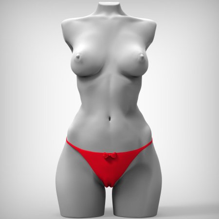 Женский торс