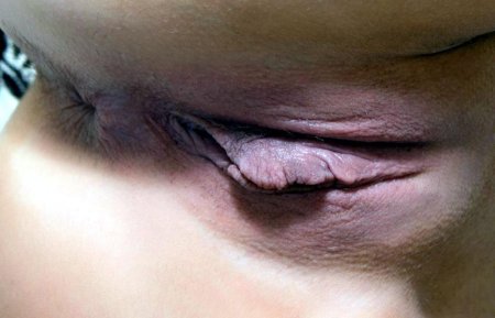 Бритая киска