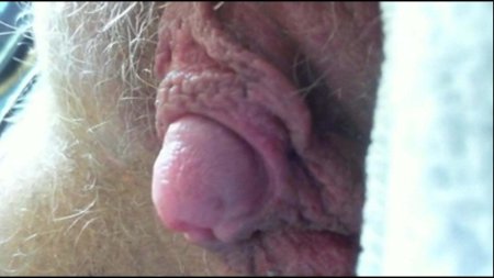 Большая клитор