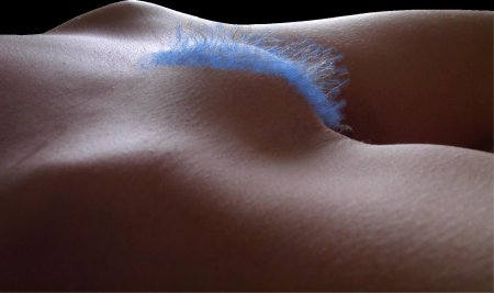 Самые красивые женские лобки