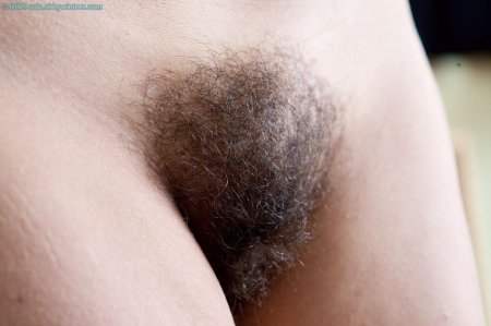 Черные волосатые лобковые волосы