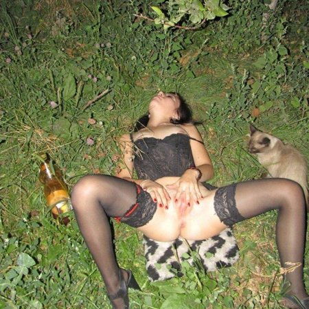 Домашние кошки