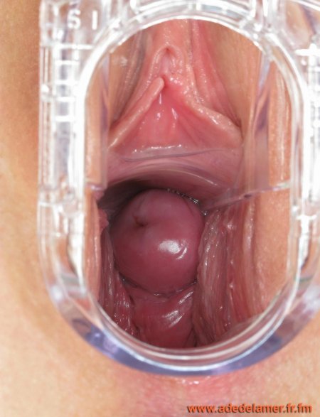 Влагалища крупным планом