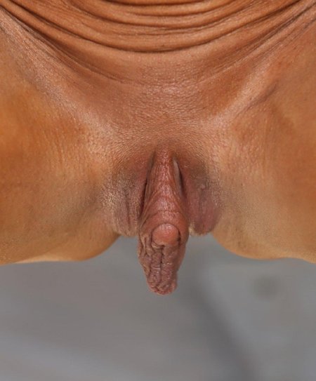 Огромные клитора