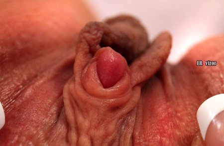 Женская клитор