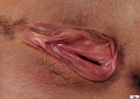 Женская вульва