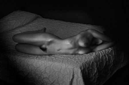 Фотограф стефан раппо ню