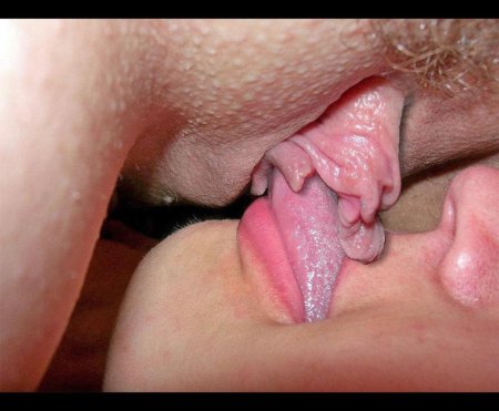 Лижет киску крупным планом