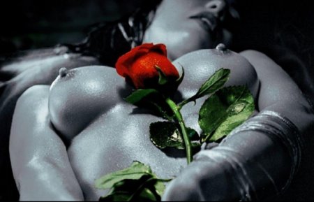 Красивая эротика