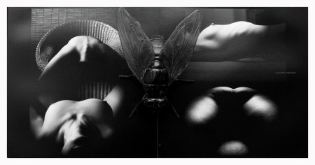 Эротика фотографии