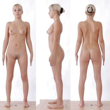 Голая женщина вид спереди