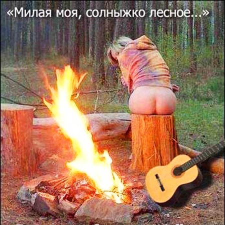 Гитара у костра