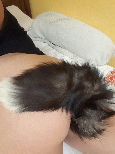 Хвост затычка