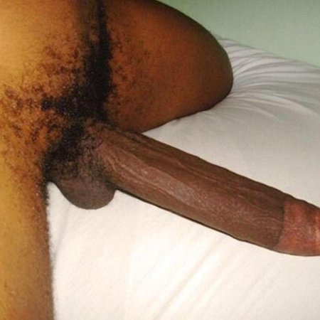 Члени негрова