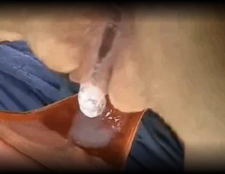 Роды лошади