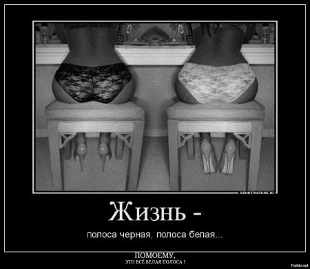 Полоса черная полоса белая