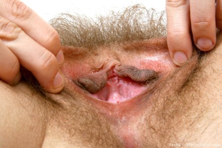 Сильно волосатая вагина